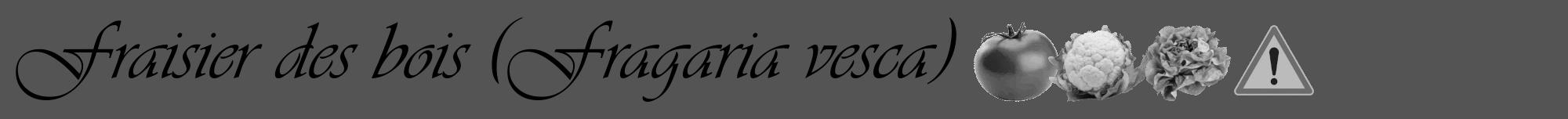 Étiquette de : Fragaria vesca - format a - style noire30viv avec comestibilité simplifiée