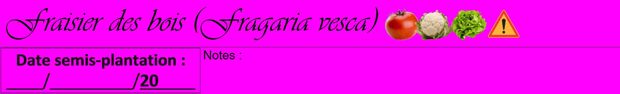Étiquette de : Fragaria vesca - format a - style noire51basiqueviv avec comestibilité simplifiée