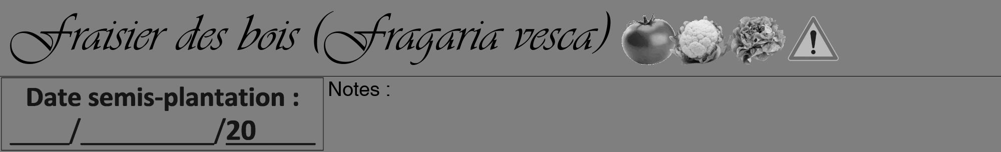 Étiquette de : Fragaria vesca - format a - style noire57viv avec comestibilité simplifiée