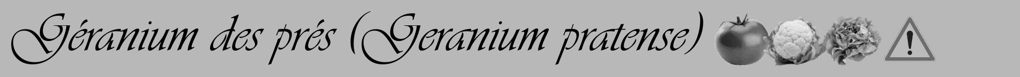 Étiquette de : Geranium pratense - format a - style noire39viv avec comestibilité simplifiée