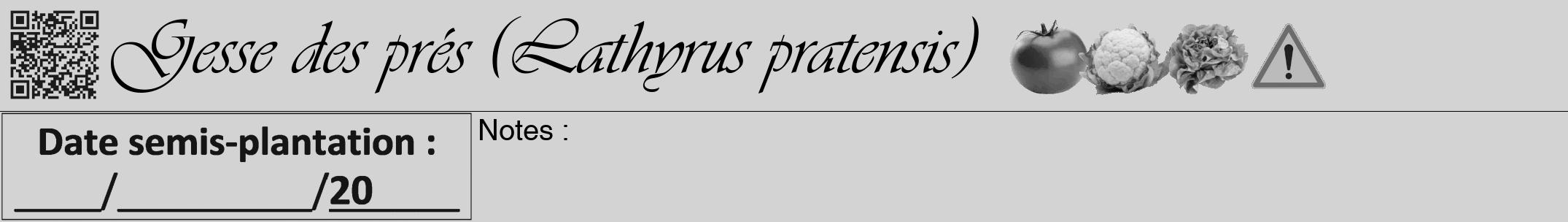 Étiquette de : Lathyrus pratensis - format a - style noire56viv avec qrcode et comestibilité simplifiée