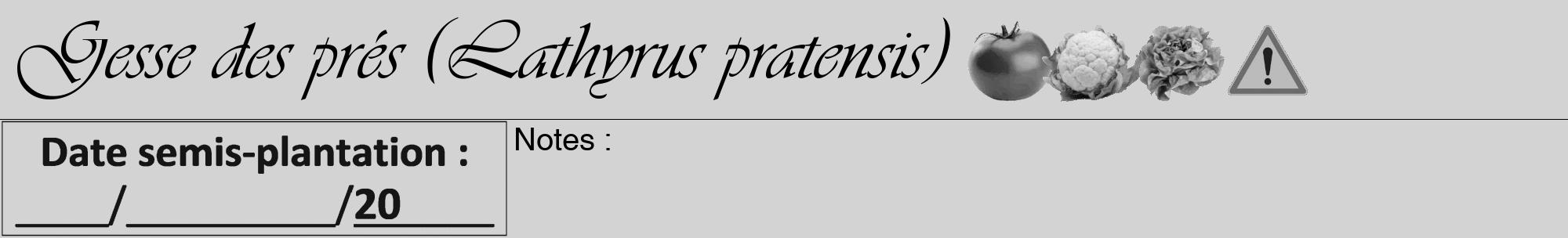 Étiquette de : Lathyrus pratensis - format a - style noire56viv avec comestibilité simplifiée