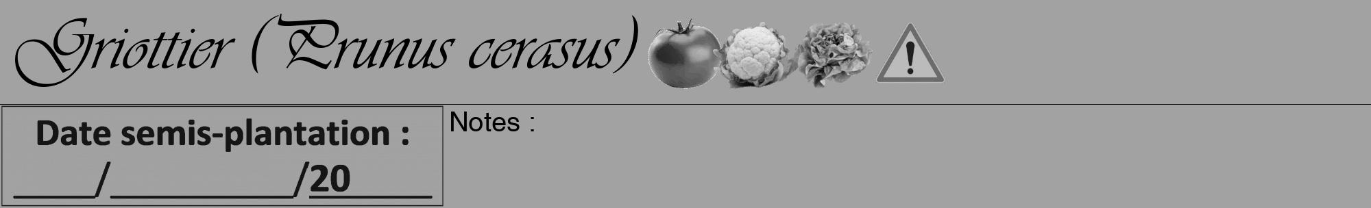 Étiquette de : Prunus cerasus - format a - style noire38viv avec comestibilité simplifiée