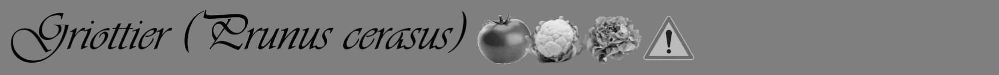 Étiquette de : Prunus cerasus - format a - style noire57basiqueviv avec comestibilité simplifiée