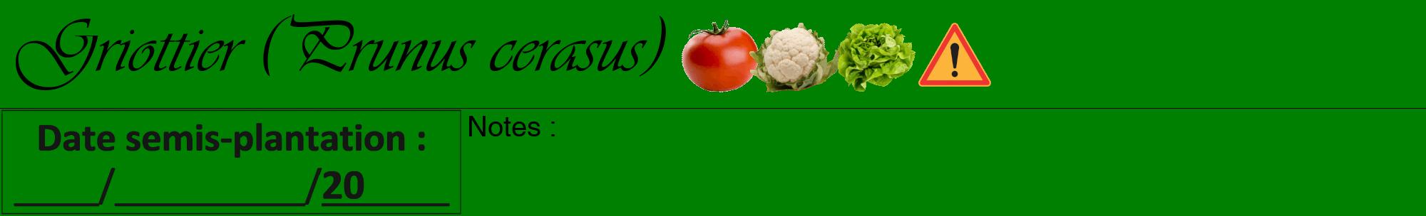 Étiquette de : Prunus cerasus - format a - style noire9viv avec comestibilité simplifiée