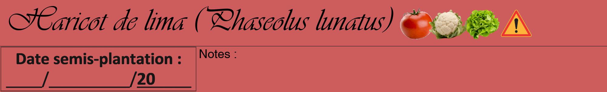 Étiquette de : Phaseolus lunatus - format a - style noire35viv avec comestibilité simplifiée