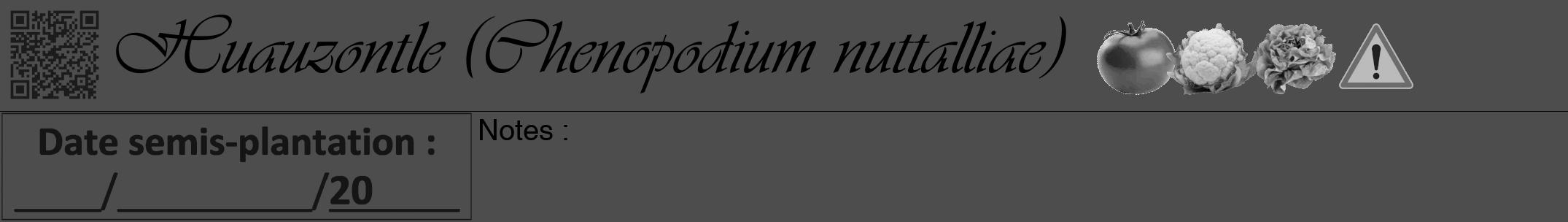 Étiquette de : Chenopodium nuttalliae - format a - style noire28viv avec qrcode et comestibilité simplifiée