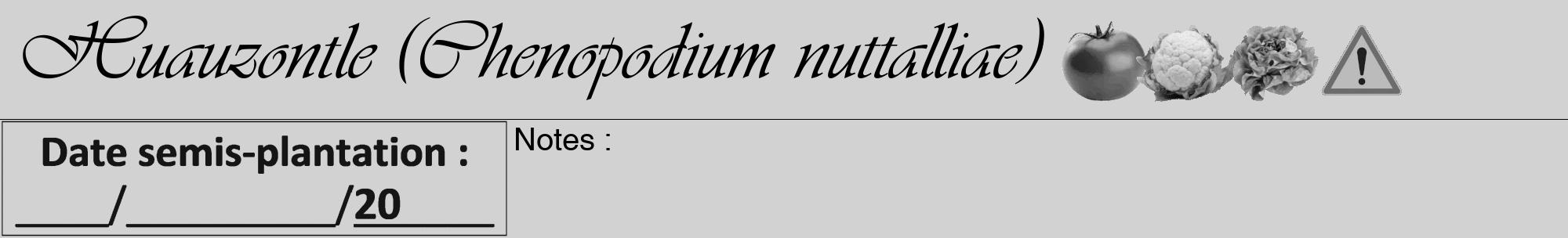 Étiquette de : Chenopodium nuttalliae - format a - style noire14viv avec comestibilité simplifiée