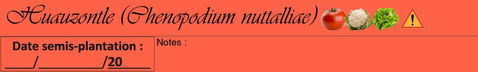Étiquette de : Chenopodium nuttalliae - format a - style noire25viv avec comestibilité simplifiée