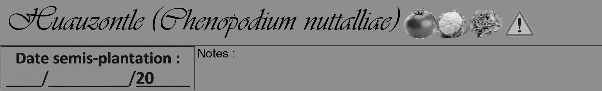 Étiquette de : Chenopodium nuttalliae - format a - style noire25viv avec comestibilité simplifiée