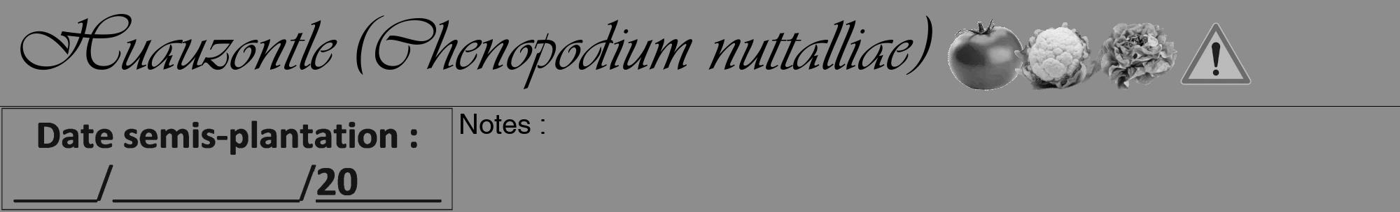 Étiquette de : Chenopodium nuttalliae - format a - style noire2viv avec comestibilité simplifiée
