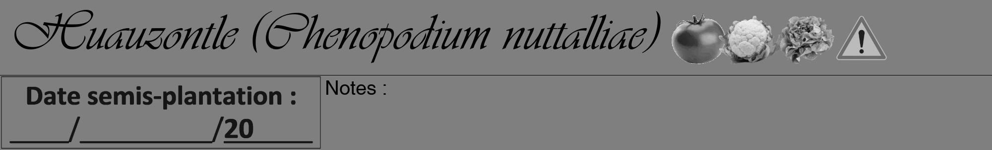 Étiquette de : Chenopodium nuttalliae - format a - style noire31viv avec comestibilité simplifiée