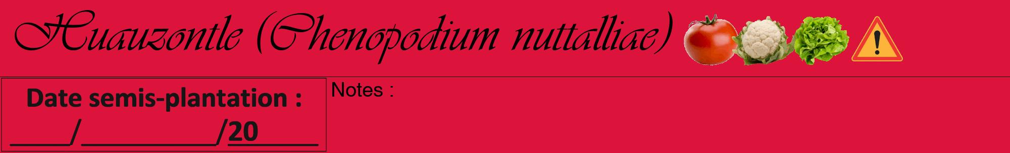 Étiquette de : Chenopodium nuttalliae - format a - style noire36viv avec comestibilité simplifiée