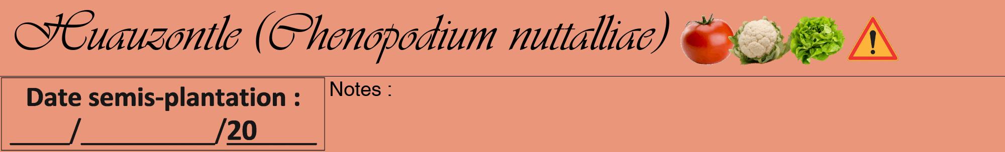 Étiquette de : Chenopodium nuttalliae - format a - style noire37viv avec comestibilité simplifiée