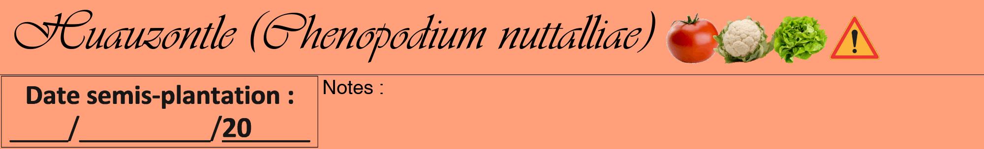 Étiquette de : Chenopodium nuttalliae - format a - style noire39viv avec comestibilité simplifiée