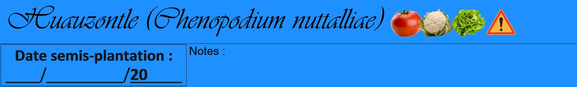 Étiquette de : Chenopodium nuttalliae - format a - style noire3viv avec comestibilité simplifiée