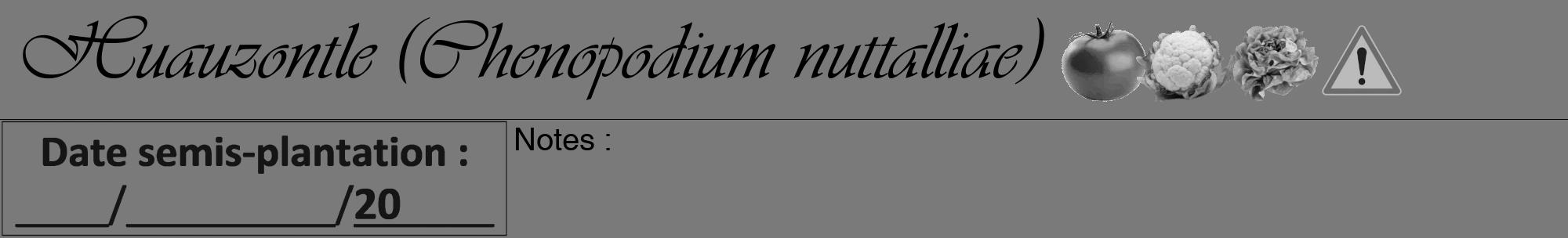 Étiquette de : Chenopodium nuttalliae - format a - style noire3viv avec comestibilité simplifiée