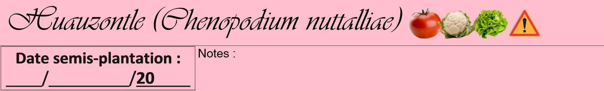 Étiquette de : Chenopodium nuttalliae - format a - style noire40viv avec comestibilité simplifiée