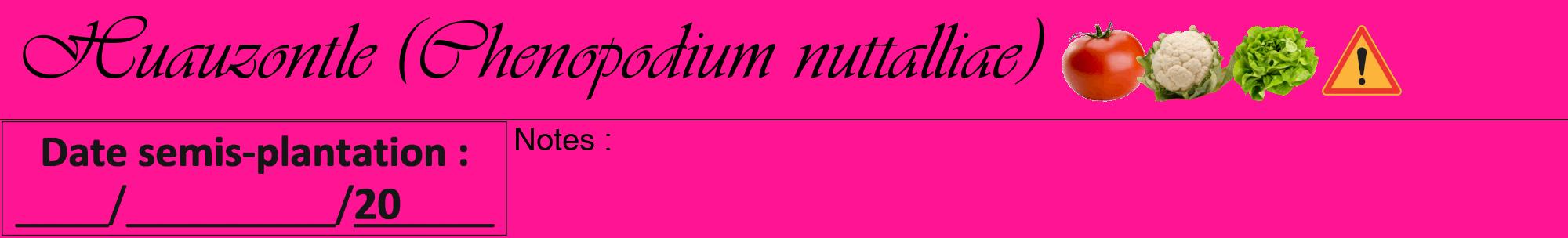 Étiquette de : Chenopodium nuttalliae - format a - style noire43viv avec comestibilité simplifiée