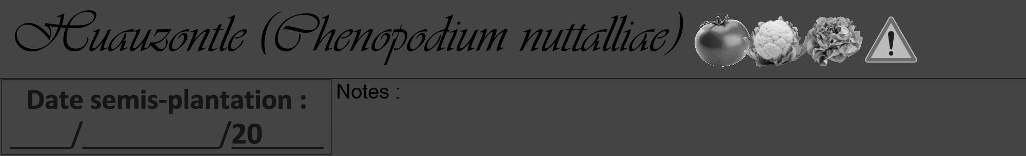 Étiquette de : Chenopodium nuttalliae - format a - style noire48viv avec comestibilité simplifiée