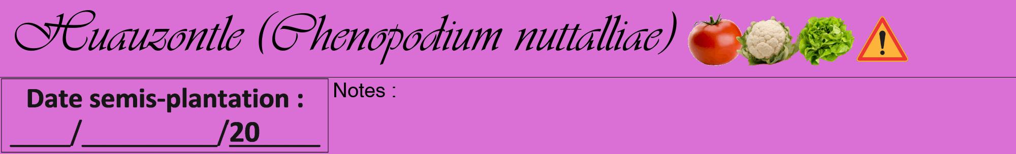 Étiquette de : Chenopodium nuttalliae - format a - style noire52viv avec comestibilité simplifiée