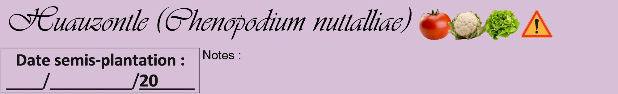 Étiquette de : Chenopodium nuttalliae - format a - style noire54viv avec comestibilité simplifiée