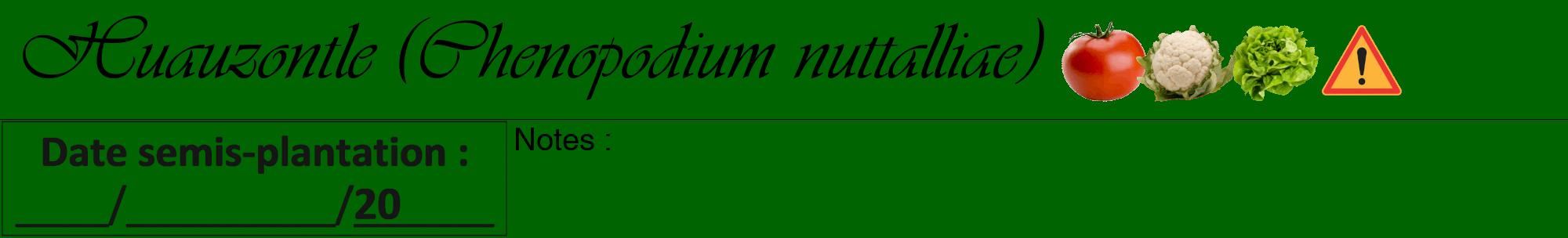 Étiquette de : Chenopodium nuttalliae - format a - style noire8viv avec comestibilité simplifiée