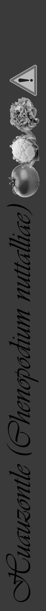 Étiquette de : Chenopodium nuttalliae - format a - style noire8viv avec comestibilité simplifiée - position verticale