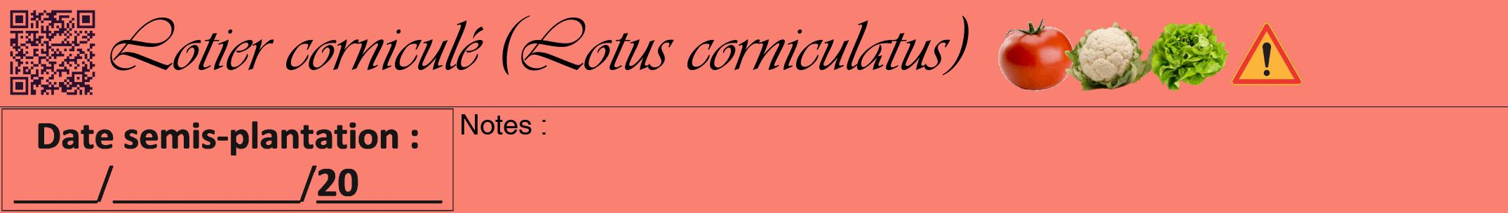 Étiquette de : Lotus corniculatus - format a - style noire38viv avec qrcode et comestibilité simplifiée