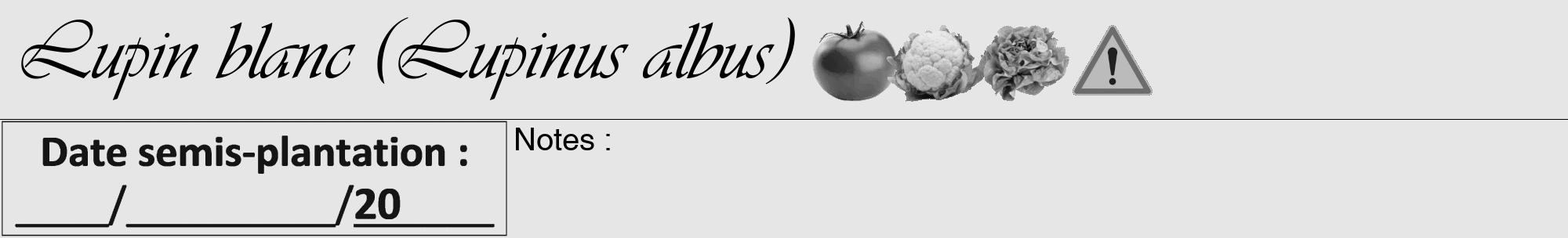 Étiquette de : Lupinus albus - format a - style noire18viv avec comestibilité simplifiée