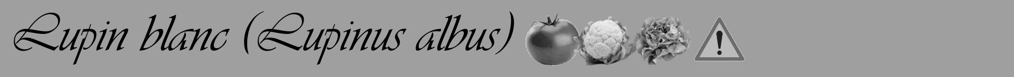 Étiquette de : Lupinus albus - format a - style noire24viv avec comestibilité simplifiée