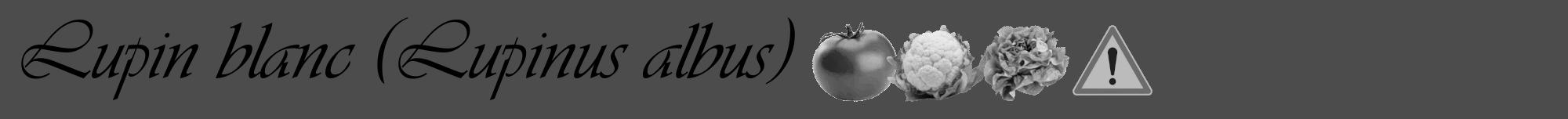 Étiquette de : Lupinus albus - format a - style noire27viv avec comestibilité simplifiée