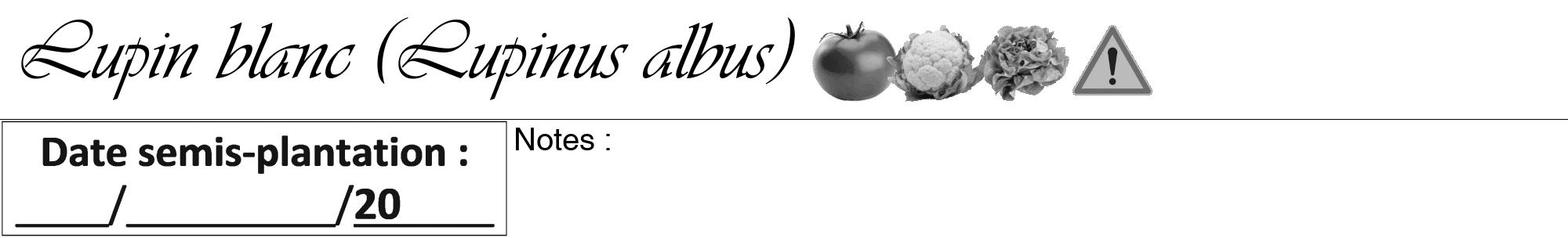 Étiquette de : Lupinus albus - format a - style noire60viv avec comestibilité simplifiée