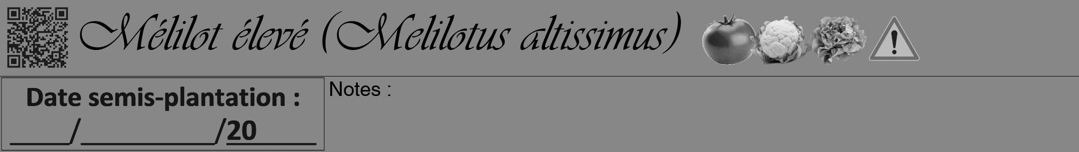 Étiquette de : Melilotus altissimus - format a - style noire12viv avec qrcode et comestibilité simplifiée