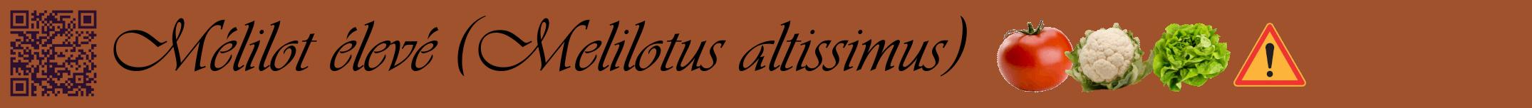 Étiquette de : Melilotus altissimus - format a - style noire32simpleviv avec qrcode et comestibilité simplifiée