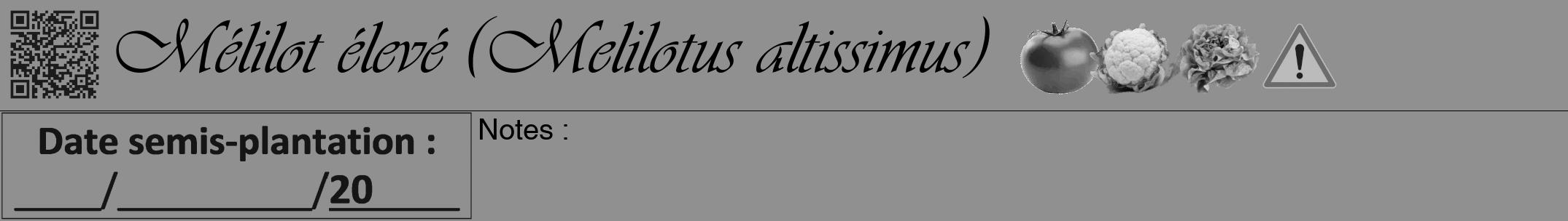 Étiquette de : Melilotus altissimus - format a - style noire4viv avec qrcode et comestibilité simplifiée