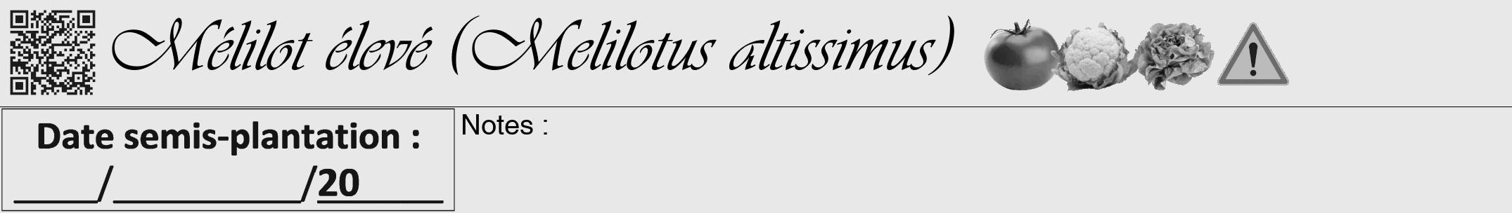 Étiquette de : Melilotus altissimus - format a - style noire55viv avec qrcode et comestibilité simplifiée