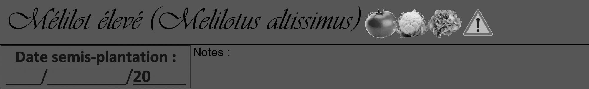 Étiquette de : Melilotus altissimus - format a - style noire45viv avec comestibilité simplifiée