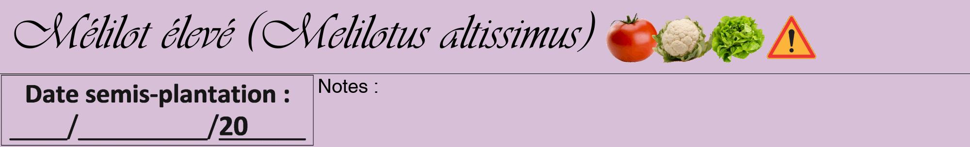 Étiquette de : Melilotus altissimus - format a - style noire54viv avec comestibilité simplifiée