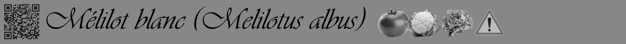 Étiquette de : Melilotus albus - format a - style noire12viv avec qrcode et comestibilité simplifiée