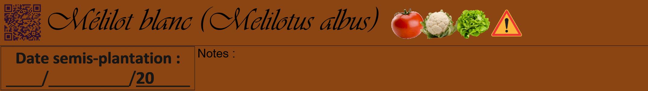 Étiquette de : Melilotus albus - format a - style noire30viv avec qrcode et comestibilité simplifiée