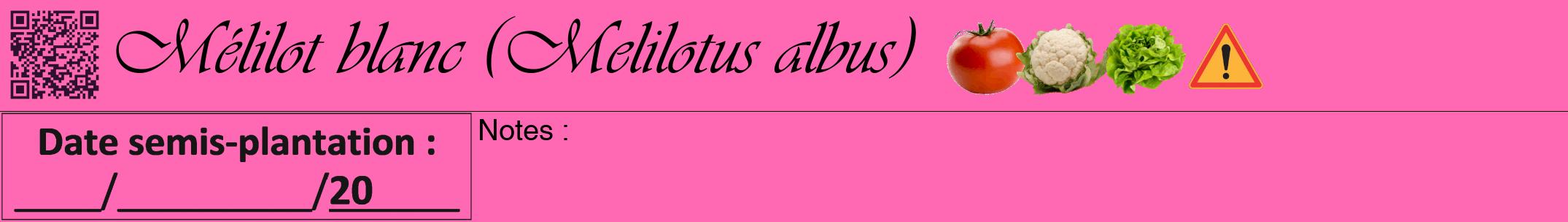 Étiquette de : Melilotus albus - format a - style noire42viv avec qrcode et comestibilité simplifiée