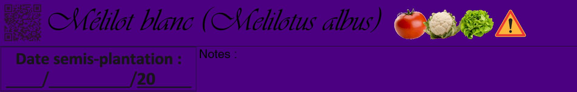 Étiquette de : Melilotus albus - format a - style noire47basiqueviv avec qrcode et comestibilité simplifiée