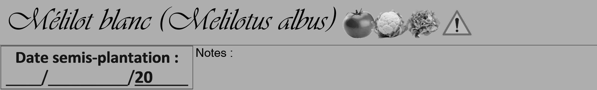 Étiquette de : Melilotus albus - format a - style noire53viv avec comestibilité simplifiée