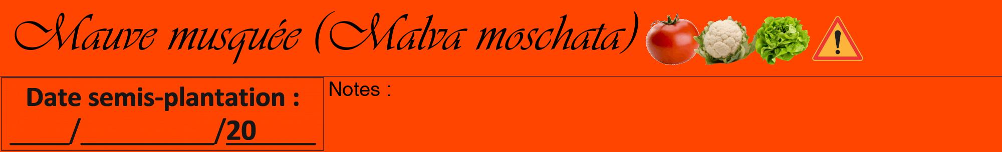 Étiquette de : Malva moschata - format a - style noire26viv avec comestibilité simplifiée