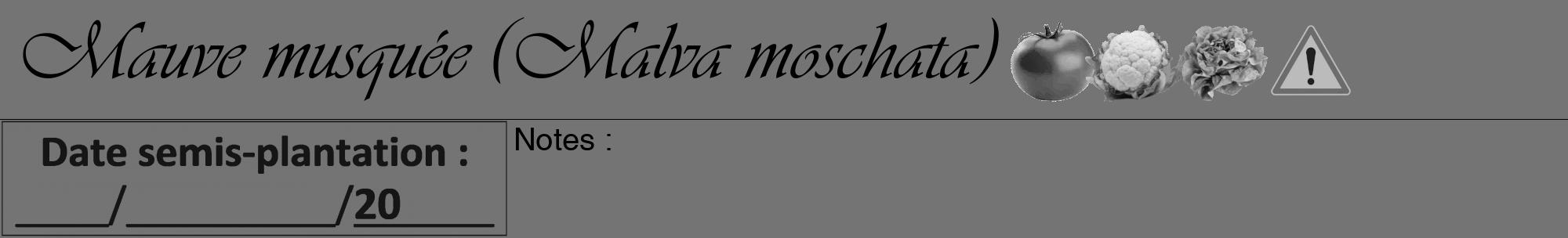 Étiquette de : Malva moschata - format a - style noire26viv avec comestibilité simplifiée