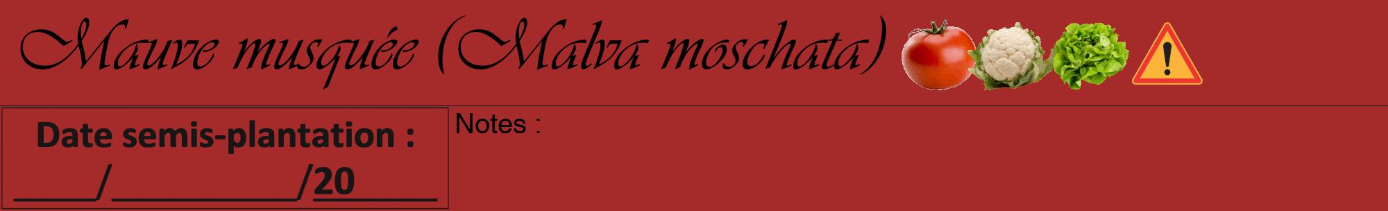 Étiquette de : Malva moschata - format a - style noire33viv avec comestibilité simplifiée