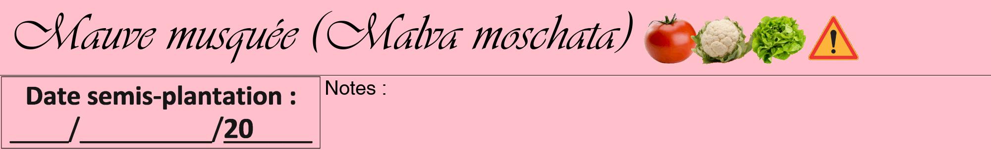 Étiquette de : Malva moschata - format a - style noire40viv avec comestibilité simplifiée