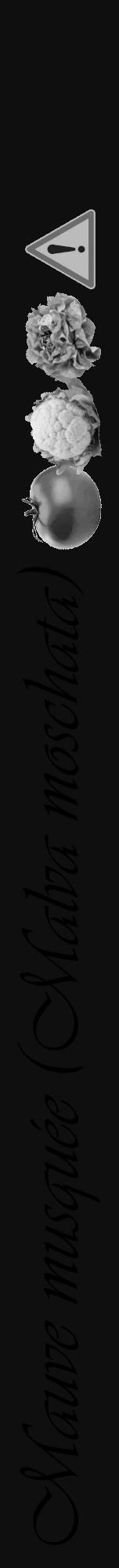Étiquette de : Malva moschata - format a - style noire7basiqueviv avec comestibilité simplifiée - position verticale