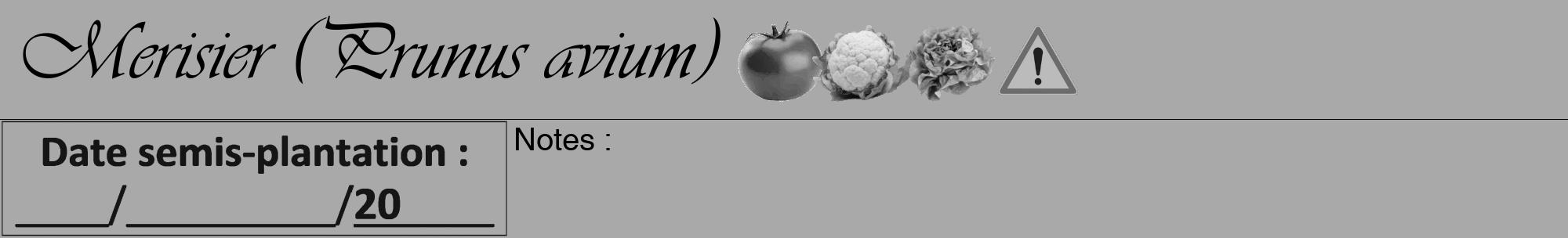 Étiquette de : Prunus avium - format a - style noire13viv avec comestibilité simplifiée